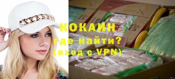 дмт Щигры