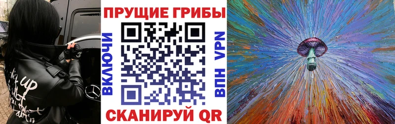 Купить закладки  Благодарный  Галлюциногенные грибы Cubensis 